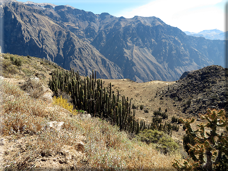 foto Canyon del Colca